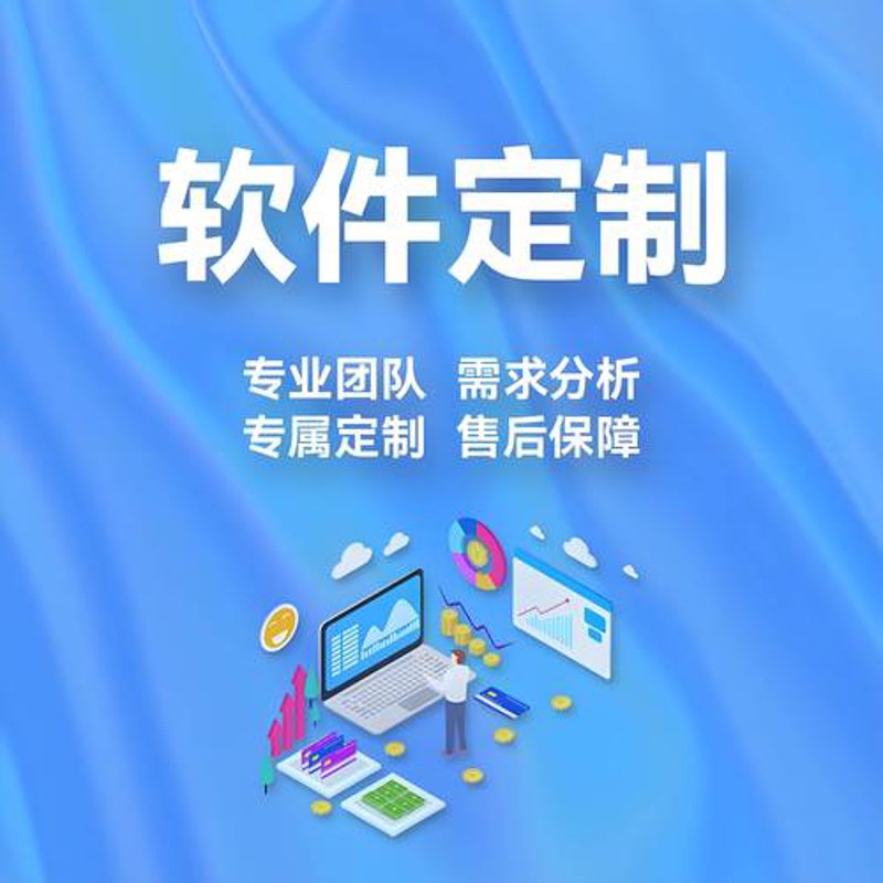 企业管理软件定制：助力企业高效运转